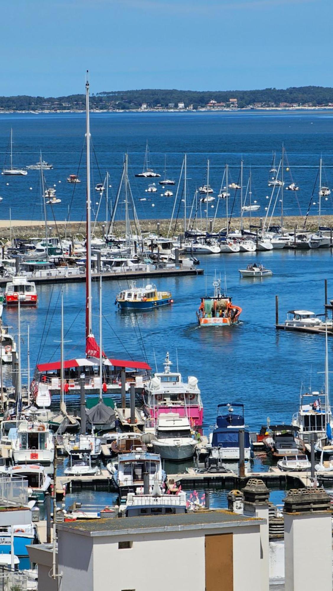 Vue Panoramique Sur Bassin,Piscine Et Terrasse Lejlighed Arcachon Eksteriør billede