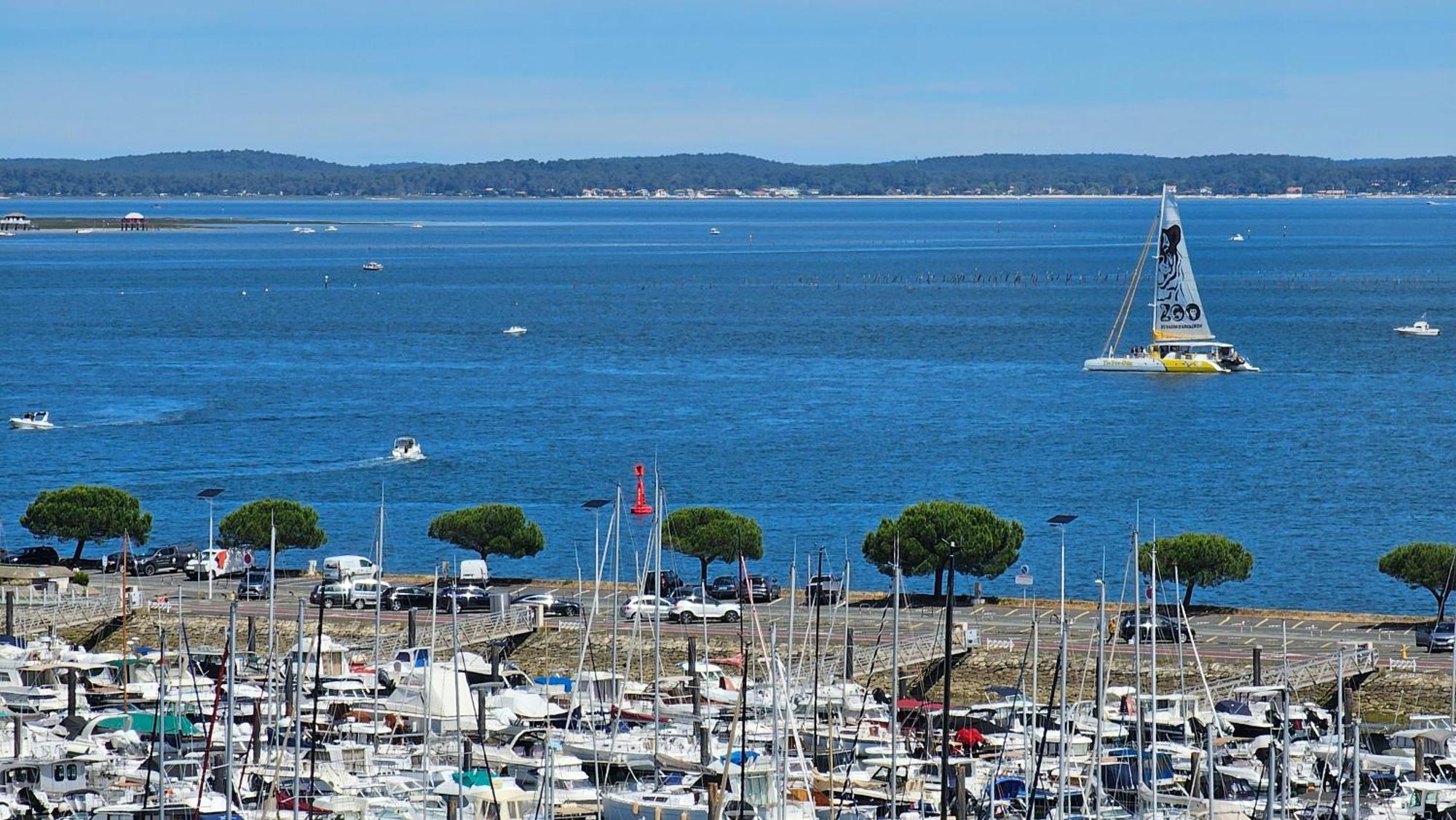 Vue Panoramique Sur Bassin,Piscine Et Terrasse Lejlighed Arcachon Eksteriør billede